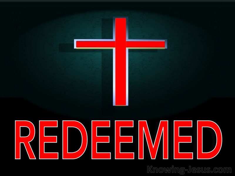 1 Peter 1:18 You Were Redeemed (black)